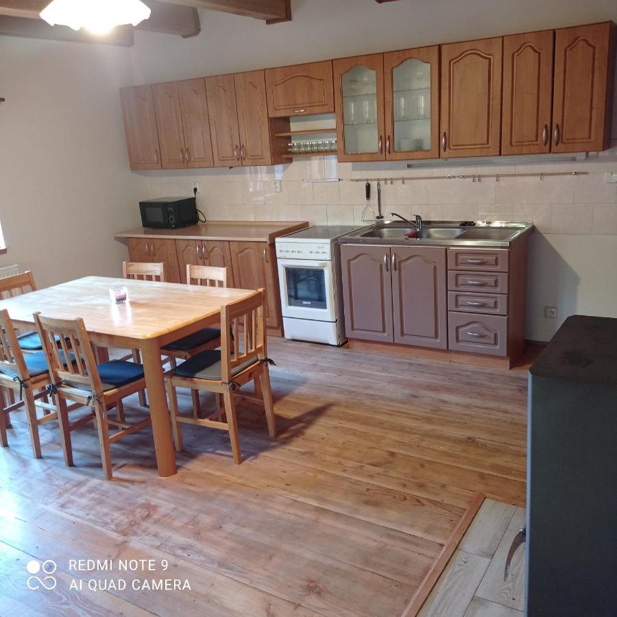 Vidlak Holiday home