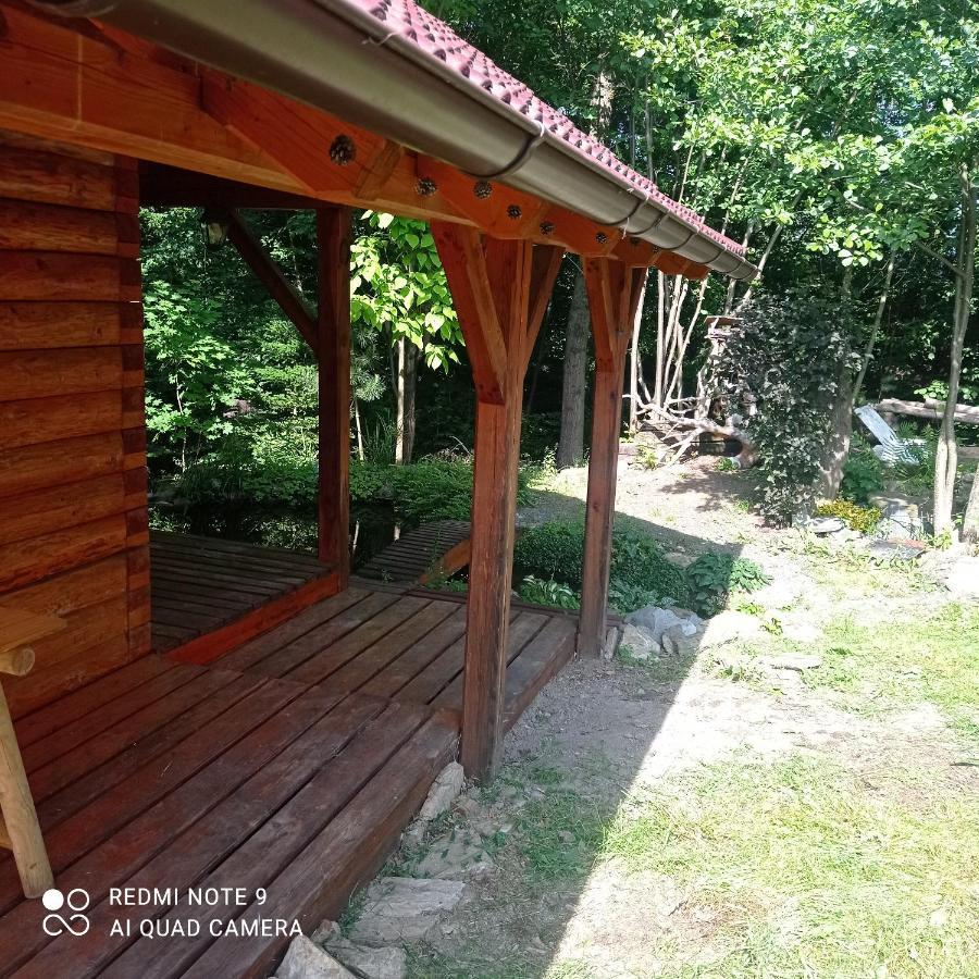Vidlak Holiday home *