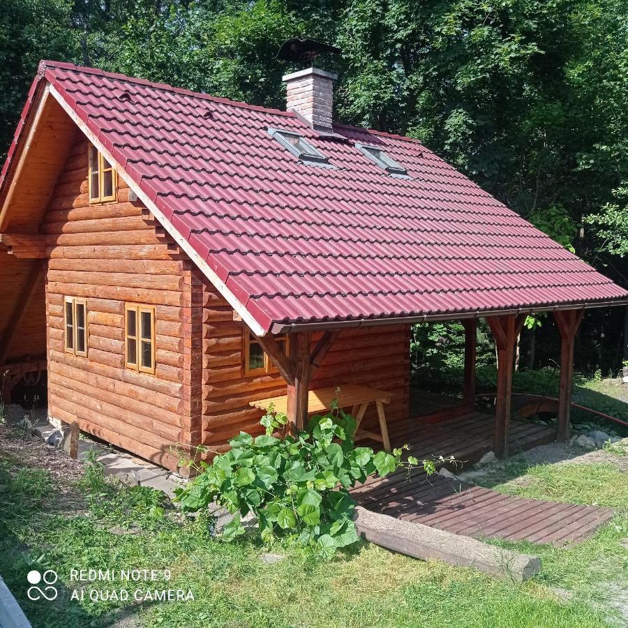Holiday home Vidlak *