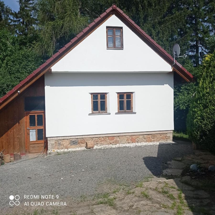 Vidlak Holiday home *