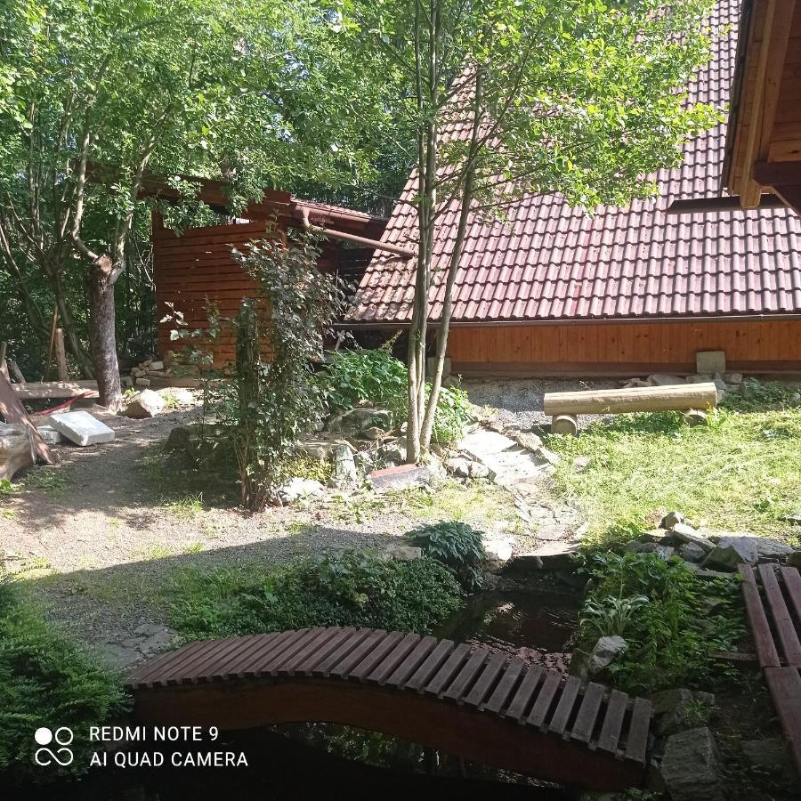 Vidlak *